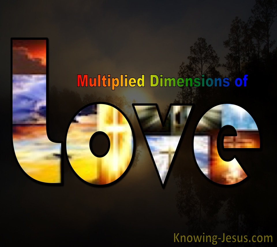Multiplied Dimensions of Love (devotional)12-06 (brown)